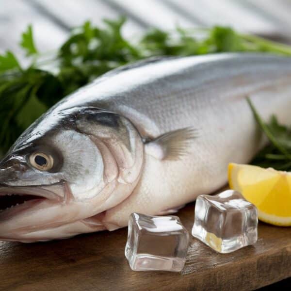 Peixe merluza fresco sobre superfície de madeira com gelo, ervas e fatias de limão ao redor.